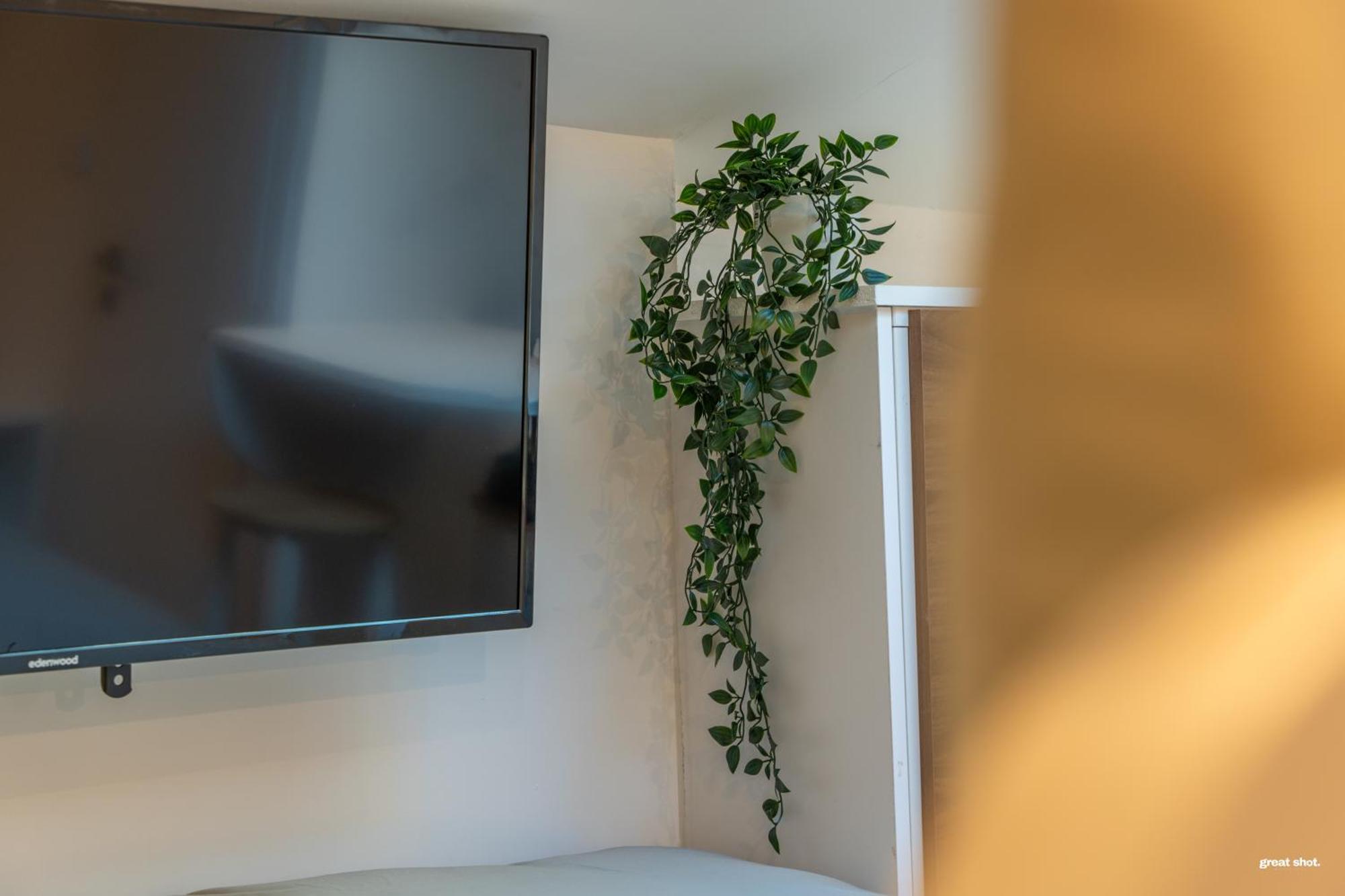 Montsejour - Magnifique Studio Neuf Toulouse Dış mekan fotoğraf